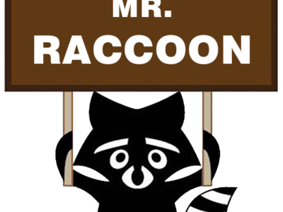 浣熊先生 – 多伦多最大的华人专业动物移除公司(Mr. Raccoon)